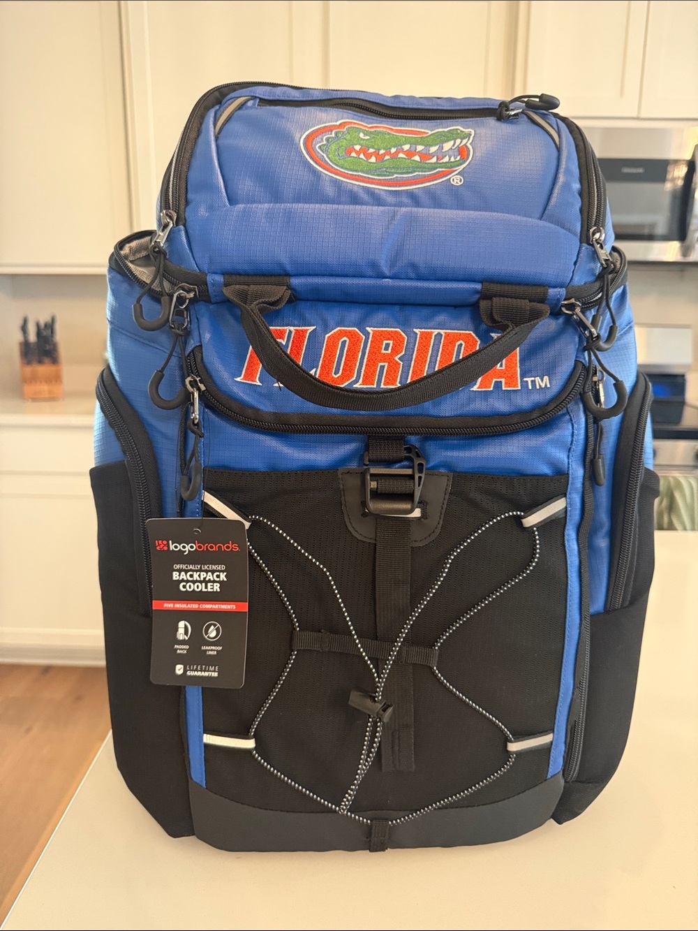 Florida Gators Blue Backpack Cooler